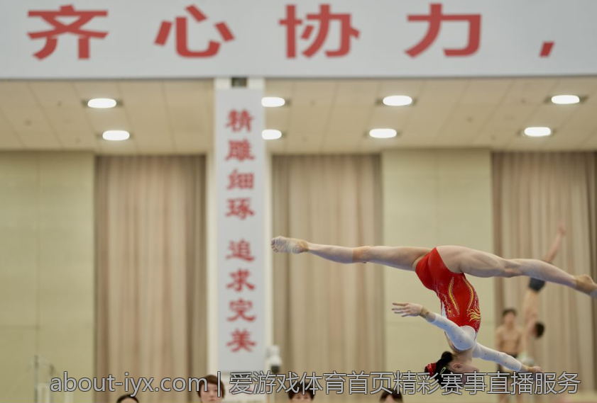 爱游戏体育首页精彩赛事直播服务