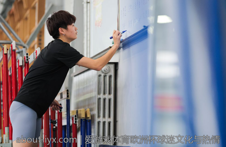 爱游戏体育欧洲杯球迷文化与热情