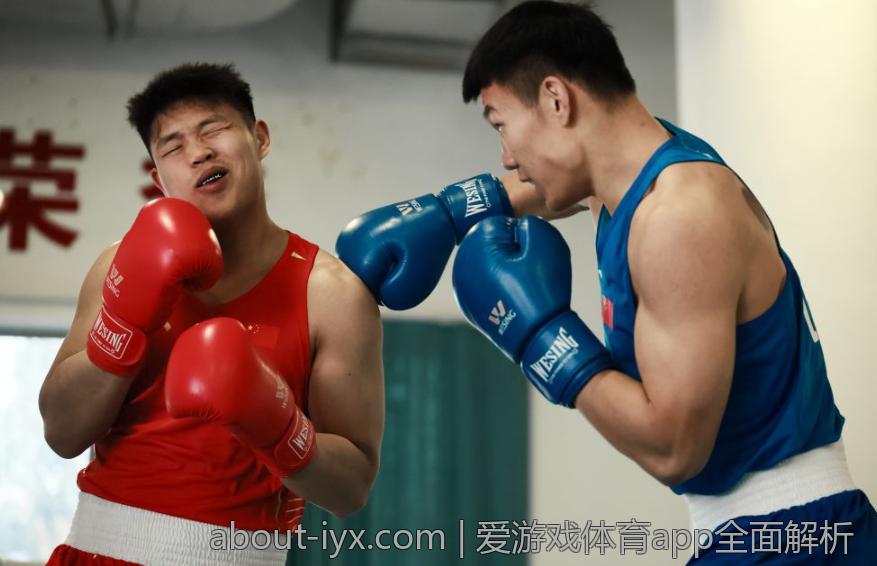 爱游戏体育app全面解析